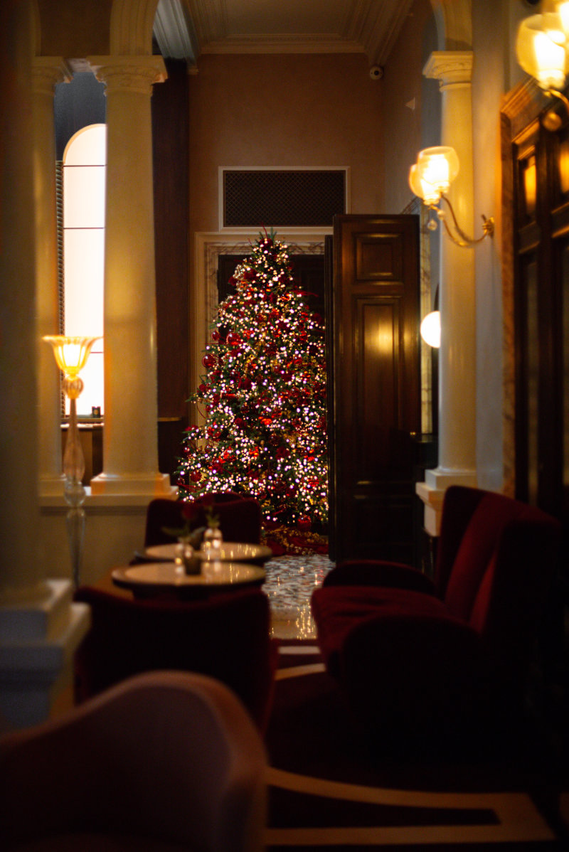 sapin-brach-paris